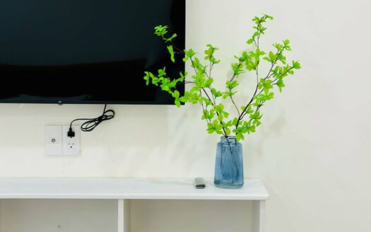 Võ Thị Sáu: 1BR-F1,2,3_02